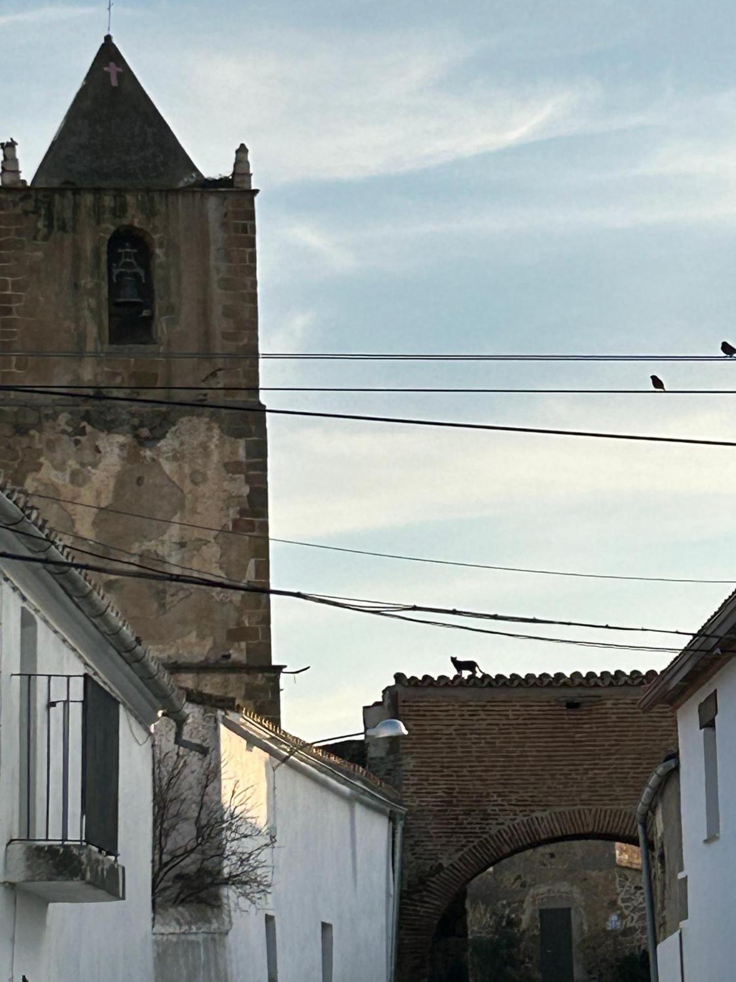 Casa Rural La Manzanilla Salvatierra de Santiago Екстериор снимка